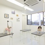 エステ&カット