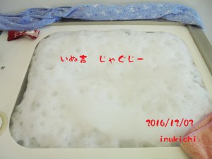 inukichi120301