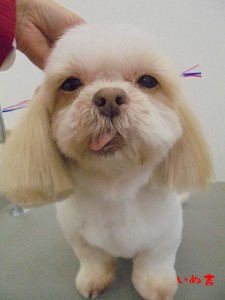 purin122410