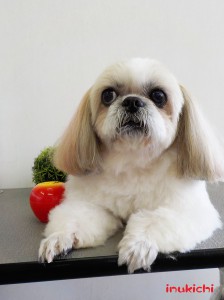peach022409