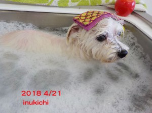 草柳絹光　ジャグジー