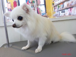 moko07