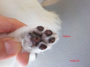 maro06
