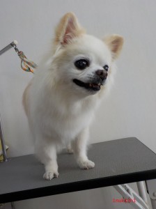 maro02