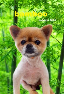 竹神戸あずき