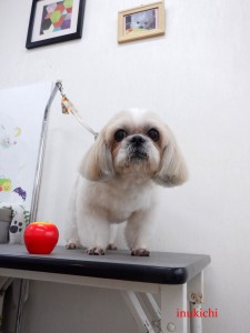 peach09