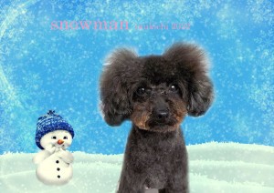 雪だるま_高橋梅