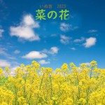 今日はどんな子が来てくれたかなあ。。。