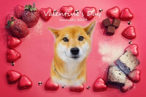 valentine_水品サクラ