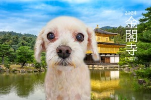 金閣寺_北林モカ