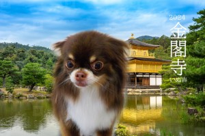 金閣寺_夏苅むぎ