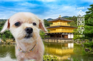 金閣寺_笠井きずな