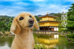 金閣寺山田リィ