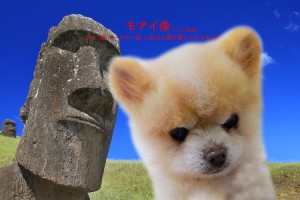 モアイ像_吉沢ひなた