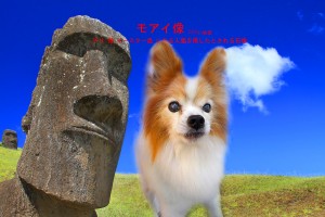 モアイ像_蓑宮ユウ