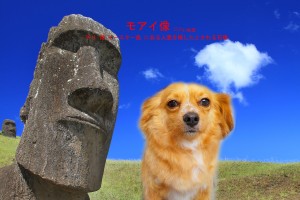モアイ像久保ロコ