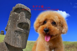 モアイ像_甲斐コロン
