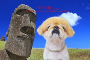 モアイ像_中村えるふ
