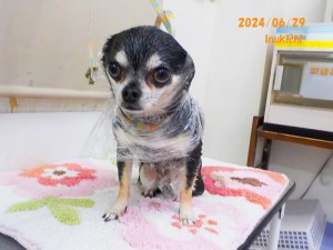 吉村なぎ0629