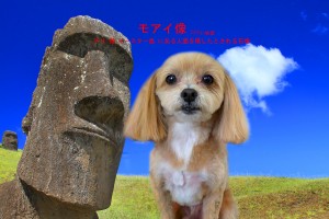 モアイ像_鈴木ラテ