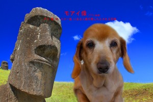 モアイ像_宗圓アラン