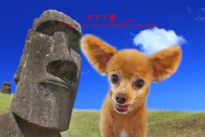 モアイ像島村コロン