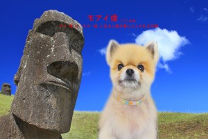 モアイ像冨岡コロン