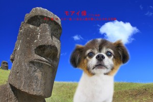 モアイ像望月ハッピー