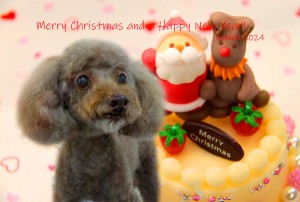 christmas2024_平井パプナ