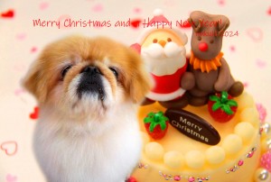 christmas2024中村えるふ