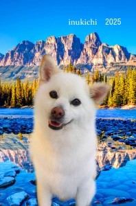 ÁåÇvÆö??iÇ?