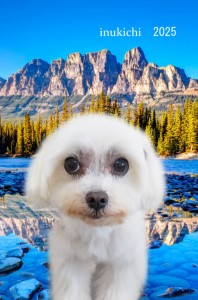 ÁåÇvÆö??iÇ?
