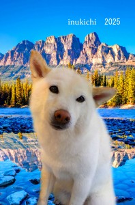 ÁåÇvÆö??iÇ?