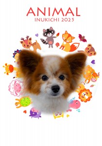 animal_古屋空