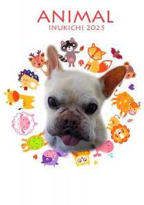 animal_山崎ハニー