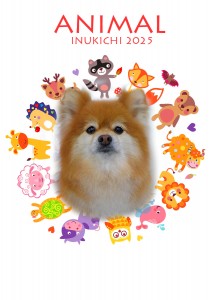 animal_富岡プリア