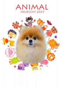 animal_冨岡モコア