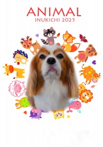 animal_増井リア_edited-1