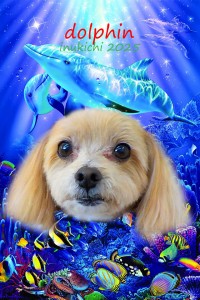dolphin_鈴木ラテ