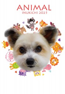 animal青木もも
