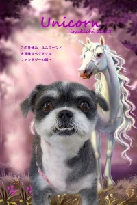 ユニコーン2雨宮チョコ