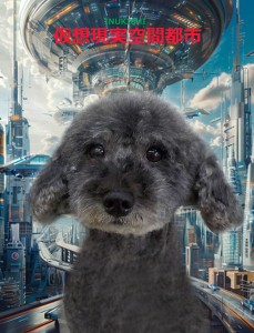 仮想都市_瀬戸シュシュ