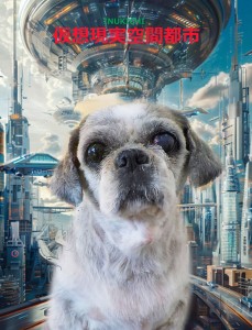 仮想都市_杉崎蘭