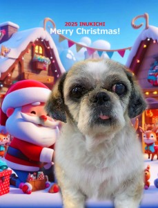 クリスマス2025杉崎明