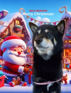 クリスマス2025中村ソロ