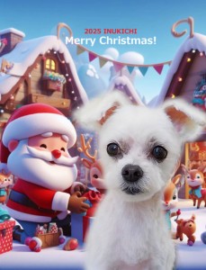 クリスマス2025田中もも