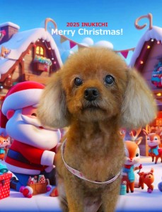 クリスマス2025神ラム