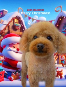 クリスマス2025野添ミント