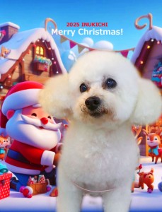 クリスマス2025小野ナナ