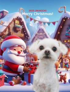 クリスマス2025城戸ルイ